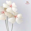 Dry Violet Love Shape - Center Pink
