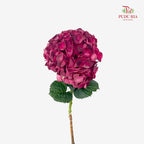 Hydrangea Red Wine - (Per Stem)