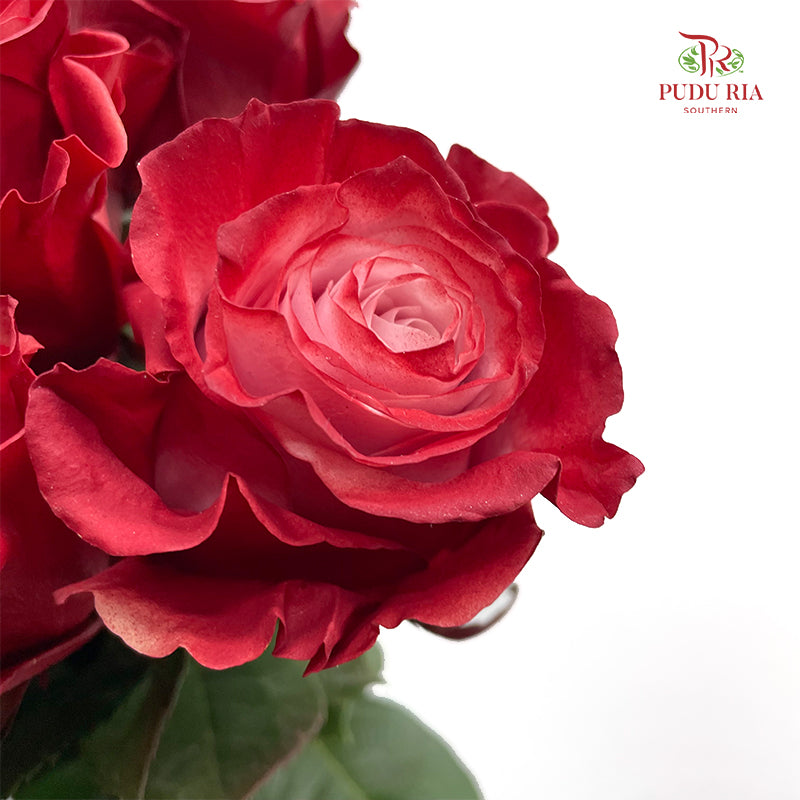 Rose Mondial Dusty 3 - (8-10 Stems)