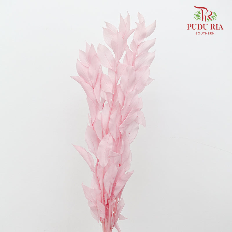 Dry Orange Leaf - Light Pink