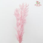 Dry Orange Leaf - Light Pink