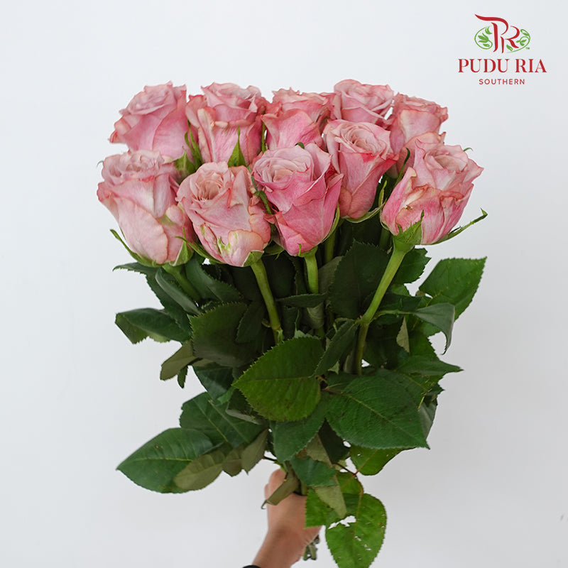 Rose Moon Dust - (8-10 Stems)