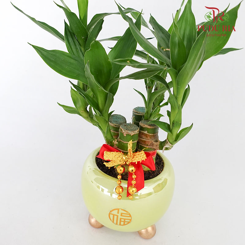 CNY Potted Plant Arrangement 2024#10