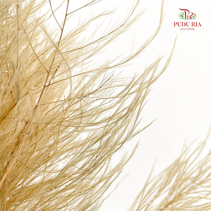 Preservative Luxuan Grass Light Brown