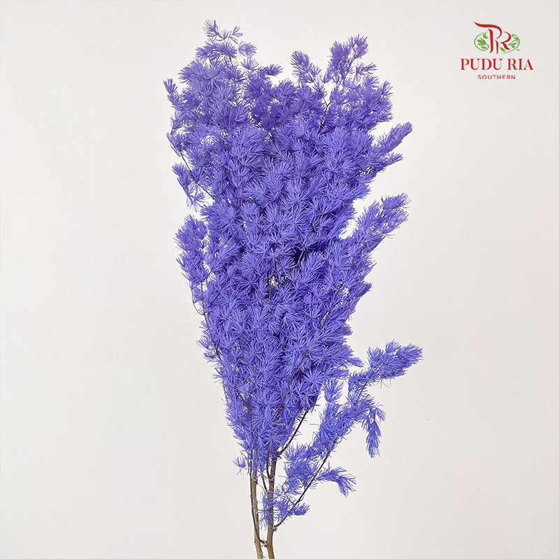 Preservative Asparagus Fern Light Purple