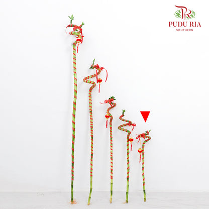 Lucky Bamboo With Deco - 转运竹