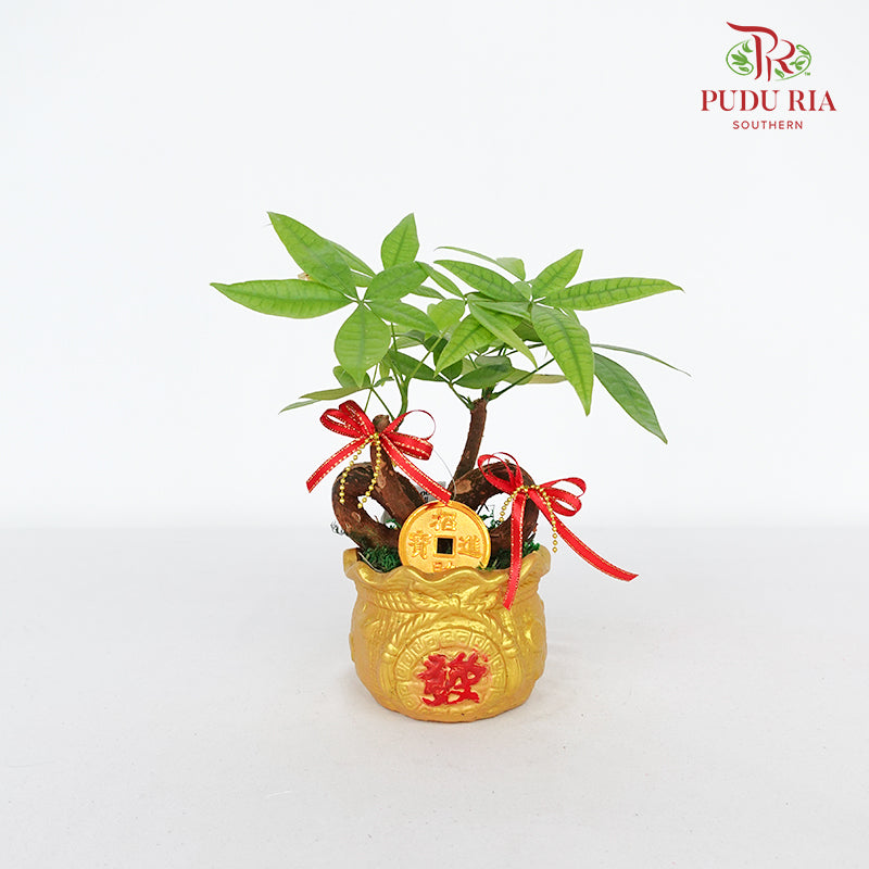 CNY Potted Plant Arrangement 2024#9