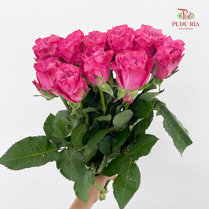 Rose Country Blues - (8-10 Stems)