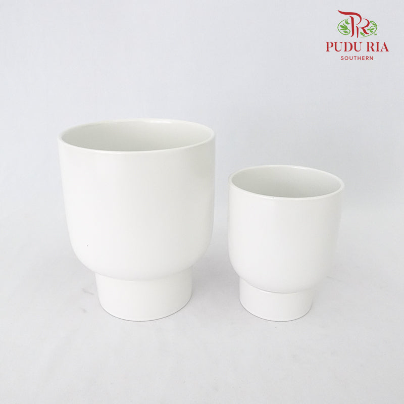 JS-D2 Asst Pot White