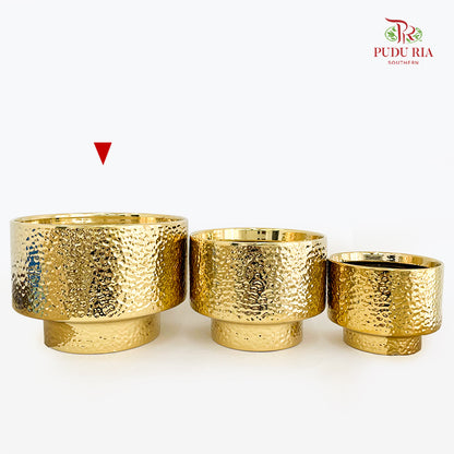 TX-WD10233C Gold Pot