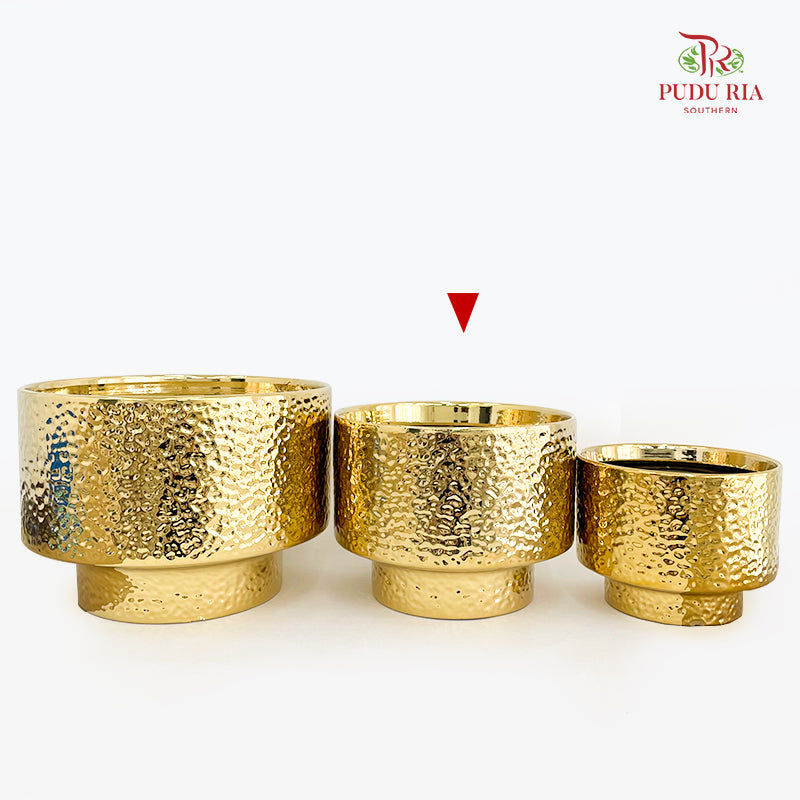 TX-WD10233C Gold Pot