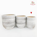 PD-3013 Stripe Pot