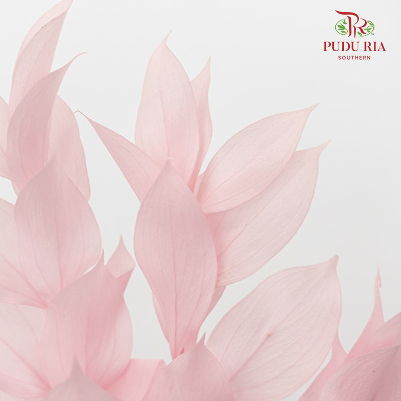 Dry Orange Leaf - Light Pink