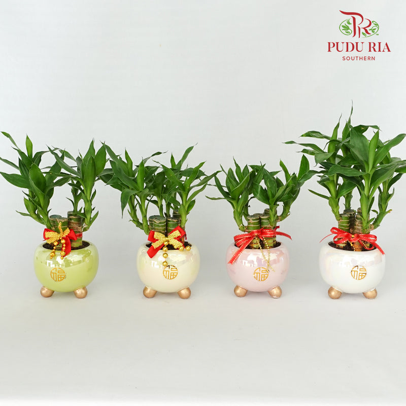 CNY Potted Plant Arrangement 2024#10