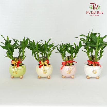 CNY Potted Plant Arrangement 2024#10