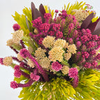Safari Mix Cone / Cape Cone (5) - (Per Bundle)