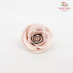 25 Bloom Awalking Soap Flower Latte - FBA089#12