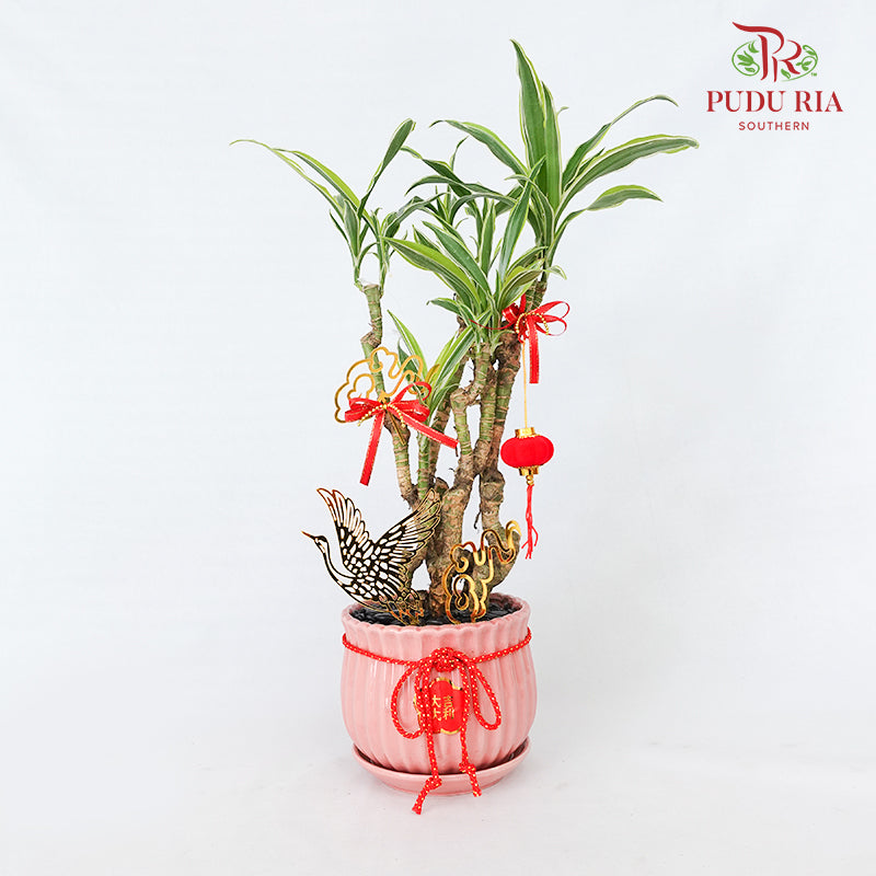 CNY Potted Plant Arrangement 2024#43