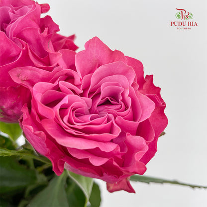 Rose Country Blues - (8-10 Stems)