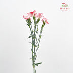 Carnation Spray Red - (18-20 Stems)