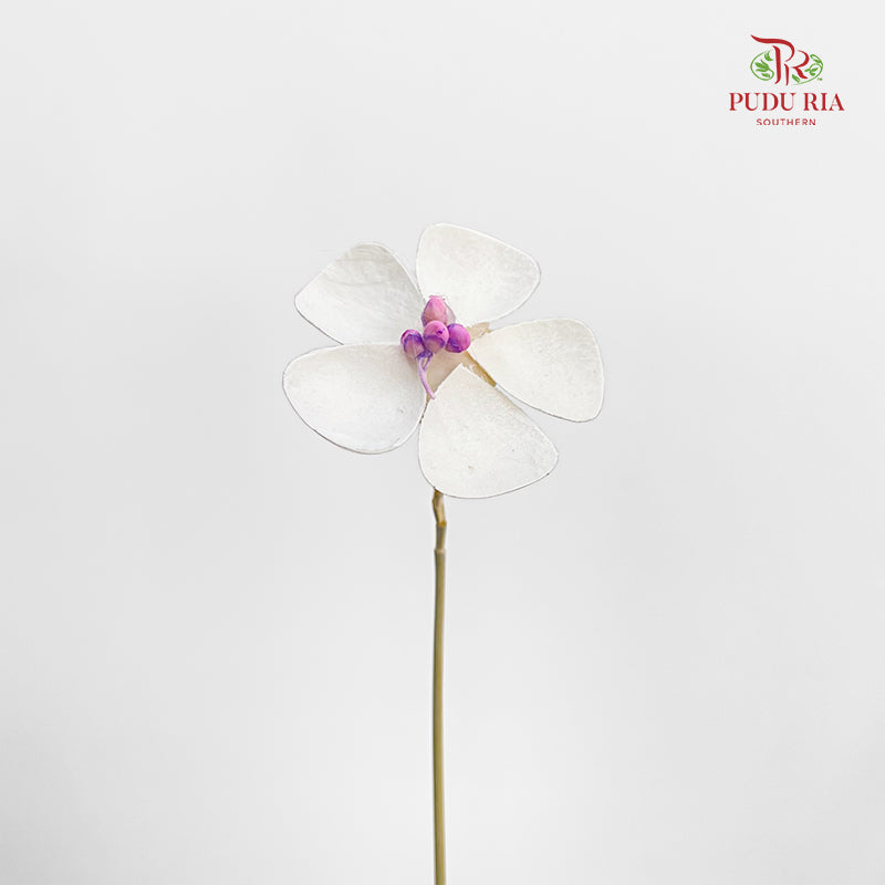 Dry Violet - White Center Magenta