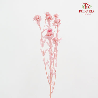 Dry Safflower - Pink