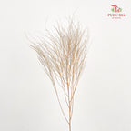Preservative Luxuan Grass Light Brown