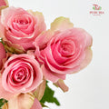 Rose Tango - (8-10 Stems)