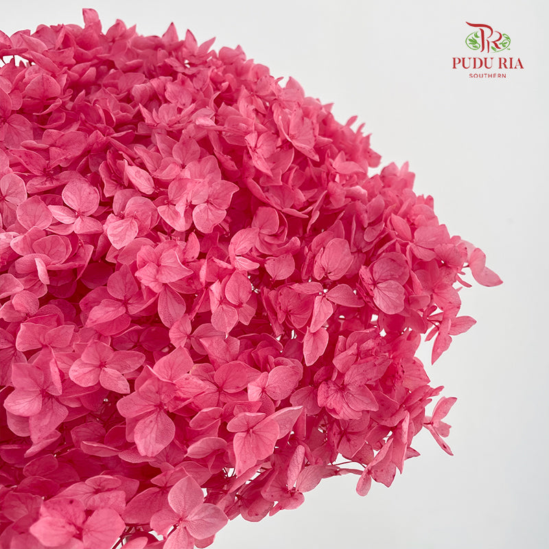 Preservative Hydrangea Small Petal -  Hot Pink