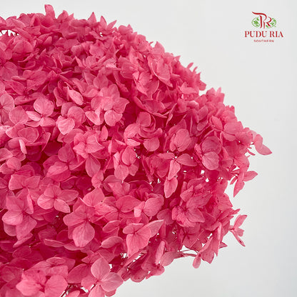 Preservative Hydrangea Small Petal -  Hot Pink