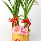 CNY Potted Plant Arrangement 2024#14