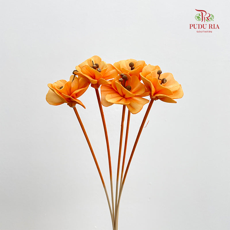 Dry Small Pomegranate Flower - Light Orange