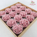16 Bloom Austin Soap Flower Ruddy Pink - FBA088#1