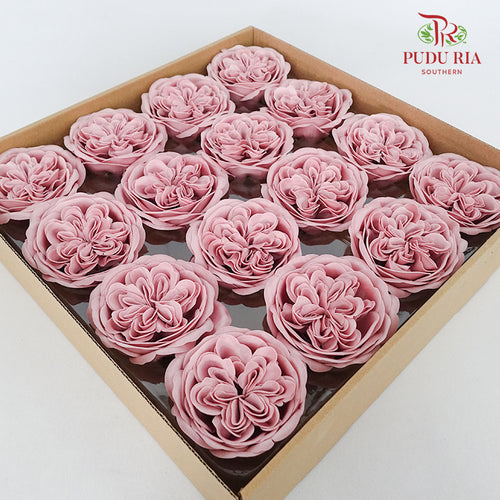 16 Bloom Austin Soap Flower Ruddy Pink - FBA088#1