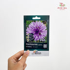 Flowers & Herbs Seeds