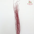 Birch Twist Red - 120cm - Pudu Ria Florist Southern