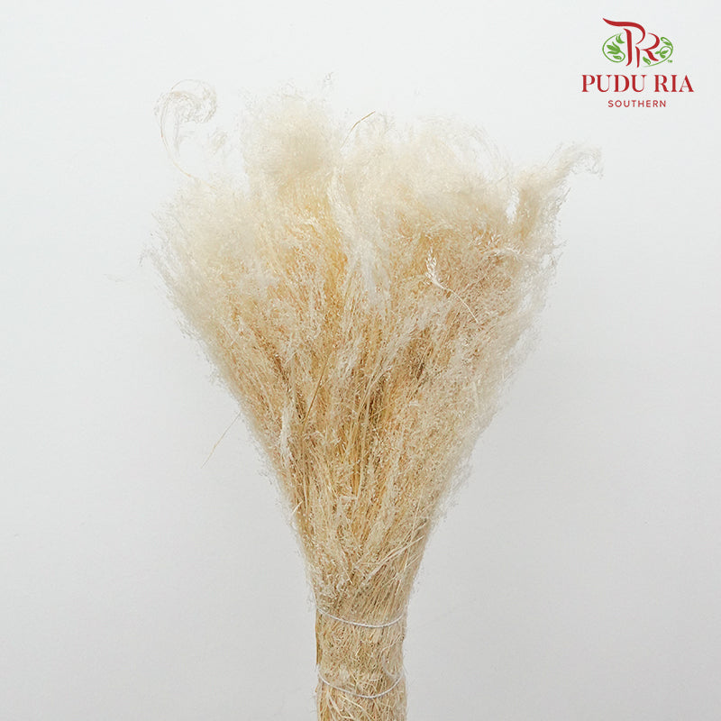 Dry Agrostis - Pudu Ria Florist Southern