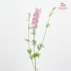 Delphinium Consolida Pink - ( Per Bundle)