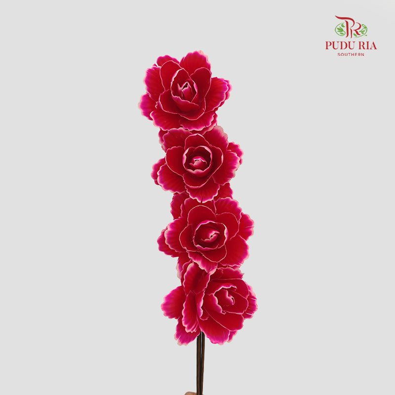 Dry Asia Peony Red/Pink - 4 Stems