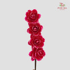 Dry Asia Peony Red/Pink - 4 Stems