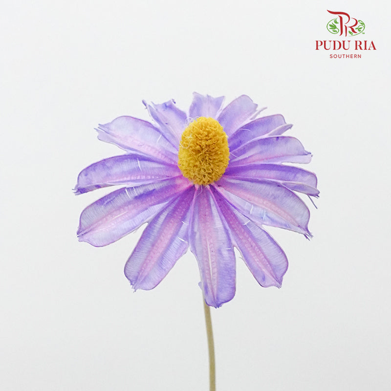 Dry Sapphire Purple - Pudu Ria Florist Southern