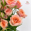 Rose Spray Dotey Lover - (8-10 Stems)