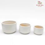 XR-886-H Pot White
