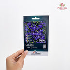 Flowers & Herbs Seeds