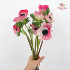 Anemone Hupehensis Red 银莲花 - (Per Bundle)