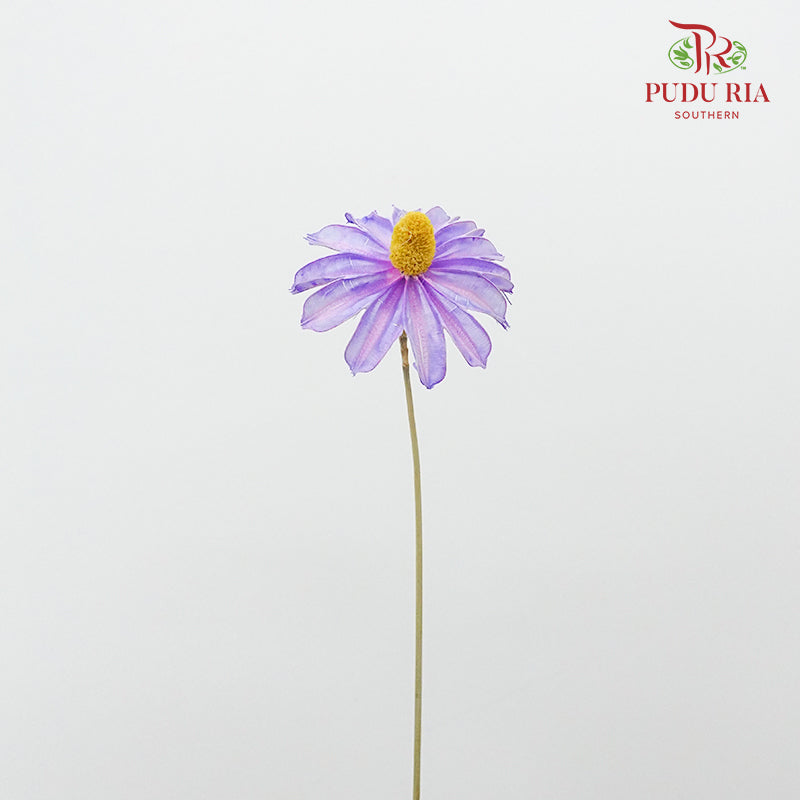 Dry Sapphire Purple - Pudu Ria Florist Southern