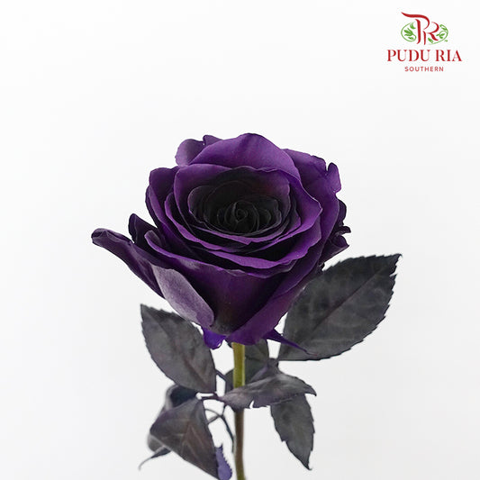 Rose Purple Amethyst  (8-10 Stems) - Pudu Ria Florist Southern