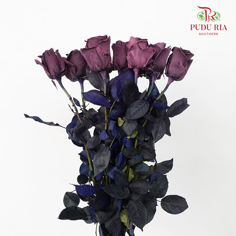 Rose Mondial Dyed Prune Amethyst (8-10 Stems) - Pudu Ria Florist Southern
