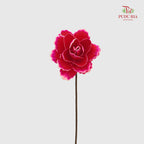 Dry Asia Peony Red/Pink - 4 Stems