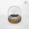 16Y3020 Tilted Terrarium Bowl